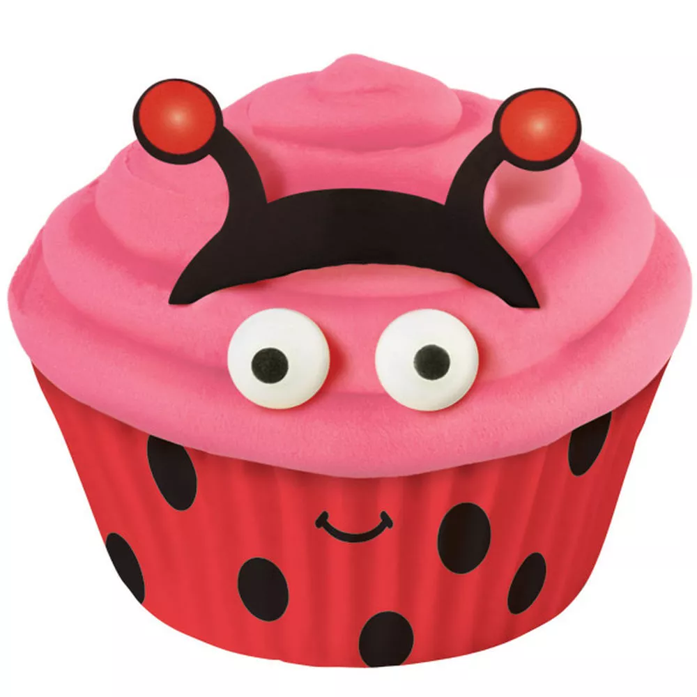 Wilton Cupcake Decorating Kit (Lady Bug)